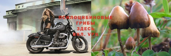 спиды Богданович