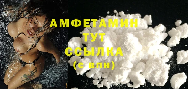 спиды Богданович
