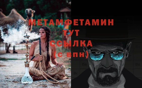 спиды Богданович