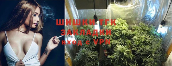 спиды Богданович