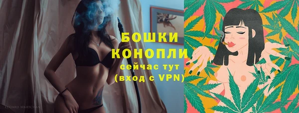 спиды Богданович