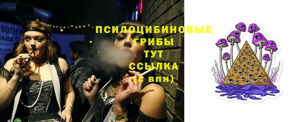 спиды Богданович