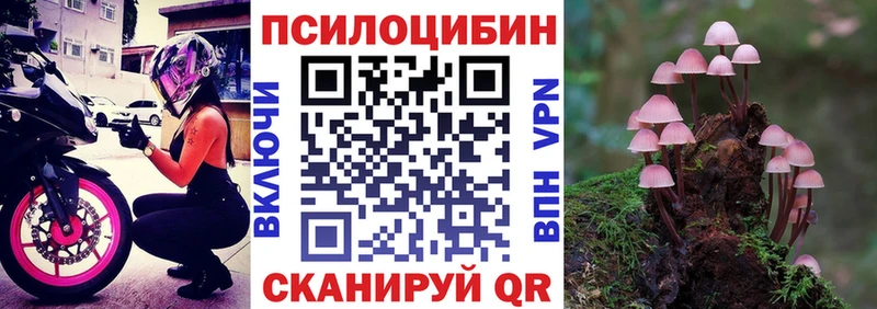 Галлюциногенные грибы мицелий  дарк нет Telegram  Малоярославец 