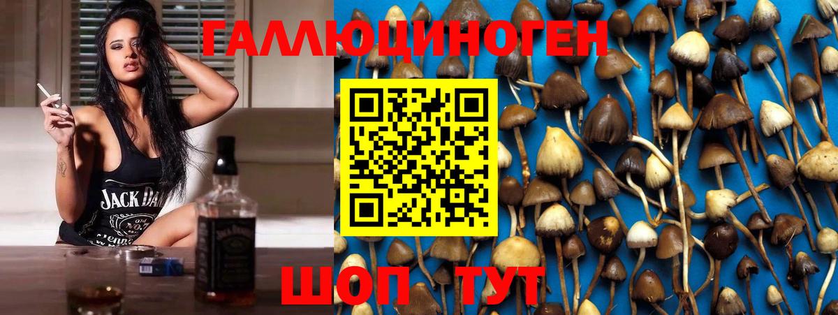 Галлюциногенные грибы Cubensis Малоярославец